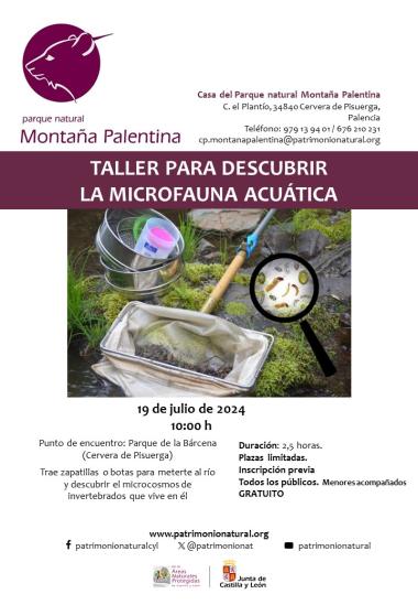 Taller para descubrir la microfauna acuática