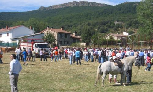 Imagen de Feria de San Bernardo