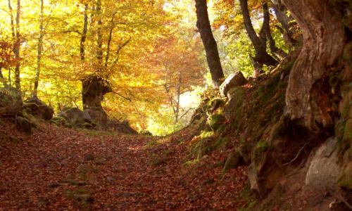 Imagen de Por los montes de Valberzoso y Puente Rojadillo