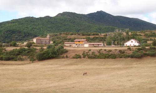 El Campo