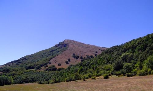 Pico Almonga