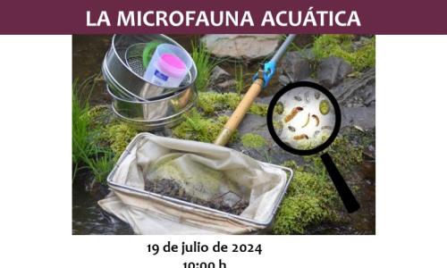 Imagen de Taller para descubrir la microfauna acuática