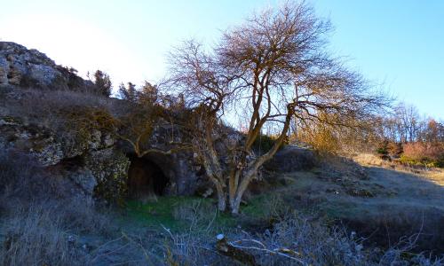 Cueva Allende
