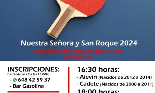 Imagen de  Campeonato Tenis de Mesa