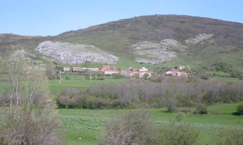 Orbó