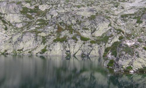 Laguna de las Lomas