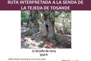 Rutas Interpretadas "  Senda de la Tejeda de Tosande"0