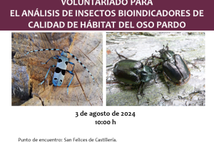 Voluntariado para análisis de insectos bioindicadores de calidad de hábitat del oso Pardo0