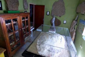 Museo de Historia Natural y geológica de Palencia