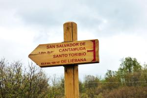 Camino Lebaniego 